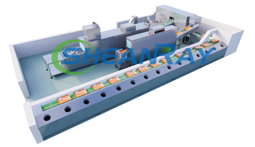 新蕾-自動除渣分揀洗滌系統